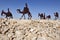 Camel Statues in the Negev, Israel