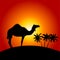 Camel on the sunset background