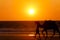 Camel Sunset - Cable Beach - Broome - Australia