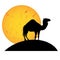 Camel sunset sunrise moon silhouette