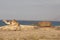 Camel and tank at sea cost of Socotra island