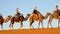 Camel tourist caravan in desert