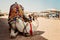 camel for tourist traffic on the beach in Hurghada, Egypt, sleep