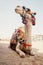 camel for tourist trips is in the sand on the beach in Egypt