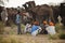 Camel traders of pushkar