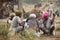 Camel traders of pushkar