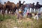 The camel traders of Pushkar