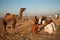 Camel traders at Pushkar fair