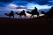 Camel train silhouetted colorful sky Sahara desert