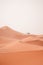 Camel trek during sunrise with tourists in the sahara desert, Merzouga Morocco