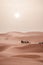 Camel trek during sunrise with tourists in the sahara desert, Merzouga Morocco