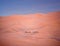 Camel trekking in Erg Chebbi, Sahara, Africa