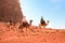 Camel trip in Wadi Rum desert, Jordan