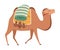 Camel, Two Humped Desert Animal Walking with Load, Side View Vector Illustration
