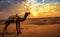 Camel used for desert safari at Jaisalmer Thar desert at sunset with moody sky