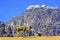 Camel Valley of Moon Wadi Rum Jordan