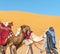 Camel walk escapade