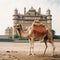 Camel walking on the beach. Generative AI