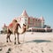 Camel walking on the beach. Generative AI