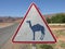 Camel warning sign