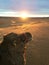 Camel watching Sunrise in the Sahara