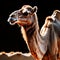 Camel wild animal living in nature, part of ecosystem