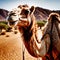 Camel wild animal living in nature, part of ecosystem