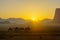 Camelcade at sunrise in Wadi Rum desert park