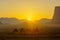 Camelcade at sunrise in Wadi Rum desert park