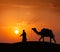 Cameleer (camel driver) with camels in dunes of Thar desert. Raj