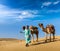 Cameleer (camel driver) with camels in dunes of Thar desert. Rajasthan, India