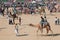Cameleer entertain children with camels during the rural Desert Festival