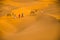 Cameleers with camels walking on golden sand dunes of thar desert, Jaisalmer,