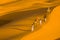 cameleers with camels walking on golden sand dunes of thar desert, Jaisalmer,