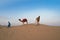 Cameleers taking back their camels, Camelus dromedarius after tourist rides at dusk in sand dunes