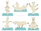 Camelids family collection. Alpaca yoga graphic design