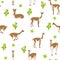 Camelids family collection. Vicuna graphic design