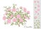 Camellia blossom tree Clip art, set of elements for design