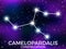 Camelopardalis constellation. Starry night sky. Cluster of stars and galaxies. Deep space. Vector