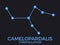 Camelopardalis constellation. Stars in the night sky. Cluster of stars and galaxies. Constellation of blue on a black background.
