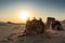 Camels in the Abu Dhabi desert with sunset