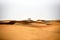 Camels in Al Bidayer Desert dunes, Dubai, United Arab Emirates