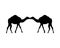 Camels animals silhouettes isolated icons