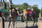 Camels at australia zoo