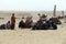 Camels await tourist riders at the Great pyramid