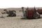 Camels await tourist riders at the Great pyramid