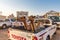 Camels in the back of a pick-up truck at the souk in Sinaw, Oman