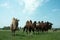Camels Bactrianus