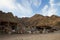 Camels, Blue Hole, Dahab