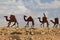 Camels caravan in the Negev desert, En Avdat National Park